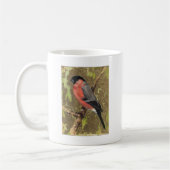 Bullfinch Koffiemok (Links)