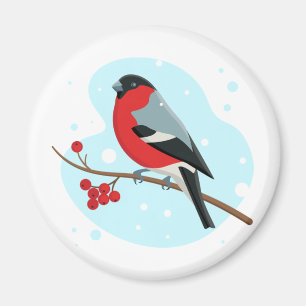 Bullfinch. Mooie winter Magneet