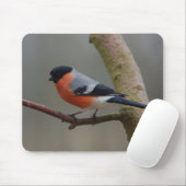 Bullfinch Muismat (Met muis)