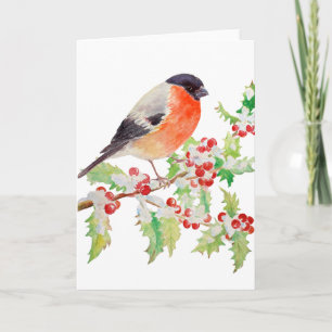 Bullfinch op Holly Branch in Snow Wenskaart Kaart