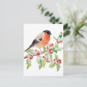Bullfinch op holly branch op sneeuwpostkaart briefkaart (Staand voorkant)