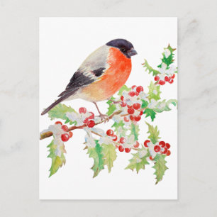 Bullfinch op holly branch op sneeuwpostkaart briefkaart
