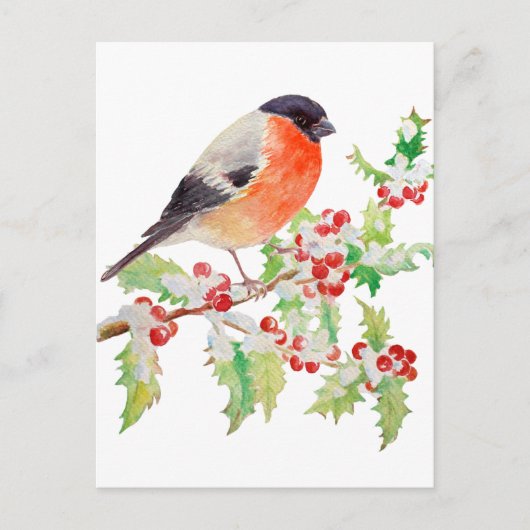 Bullfinch op holly branch op sneeuwpostkaart briefkaart (Voorkant)