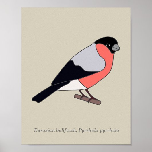 Bullfinch Poster (Voorkant)