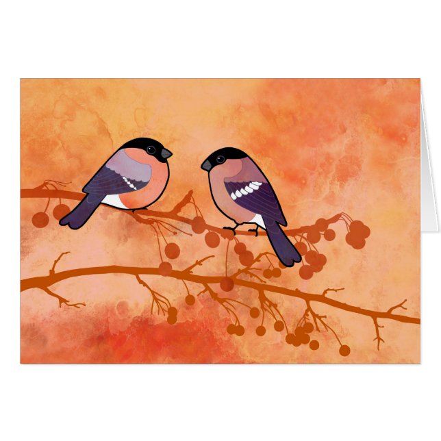 Bullfinch (Pyrromhula pyrhula) (Voorkant Horizontaal)