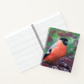 Bullfinch Wild Bird Cosmetic Bag Pouch Notitieboek (Binnen)