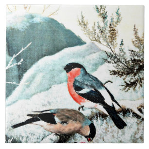 Bullfinches in het winterlandschap tegeltje