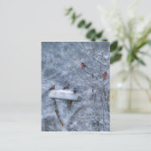 Bullfinches-postkaart Briefkaart (Staand voorkant)