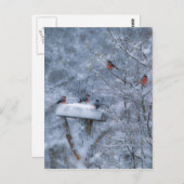 Bullfinches-postkaart Briefkaart (Voorkant / Achterkant)