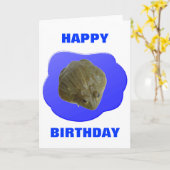 Bullfrog  Birthday Kaart (Gele Bloem)