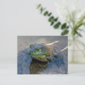 Bullfrog Briefkaart (Staand voorkant)