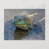 Bullfrog Briefkaart (Voorkant)