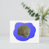 Bullfrog-Briefkaart Briefkaart (Staand voorkant)