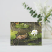 Bullfrog in Lily Pond Briefkaart (Staand voorkant)