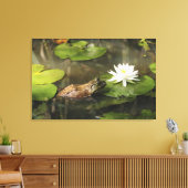 Bullfrog in Lily Pond Canvas Afdruk (Insitu (Woonkamer))