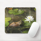 Bullfrog in Lily Pond Muismat (Met muis)