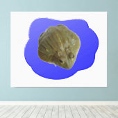 Bullfrog in Pond Canvas Print (Insitu (Houten vloer))