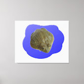 Bullfrog in Pond Canvas Print (Voorkant)