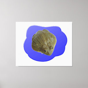 Bullfrog in Pond Canvas Print