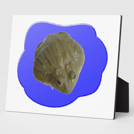 Bullfrog in Pond Plaque Fotoplaat (Zijkant)