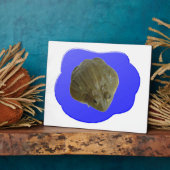 Bullfrog in Pond Plaque Fotoplaat (Zijkant)