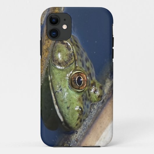 Bullfrog iPhone case (Achterkant)