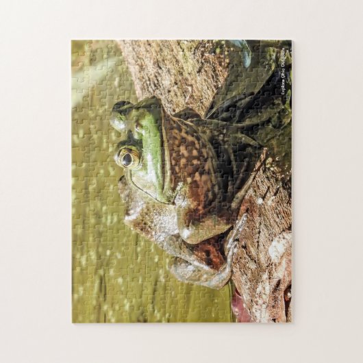 Bullfrog Jigsaw Puzzle Legpuzzel (Verticaal)