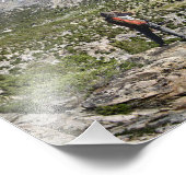 Bullfrog Lake en Kearsarge Pass - Sierra Foto Afdruk (Hoek)