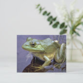 Bullfrog, Lake St. Peter, Ontario, Canada Briefkaart (Staand voorkant)