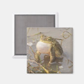 Bullfrog Magneet (Voorkant / Achterkant)