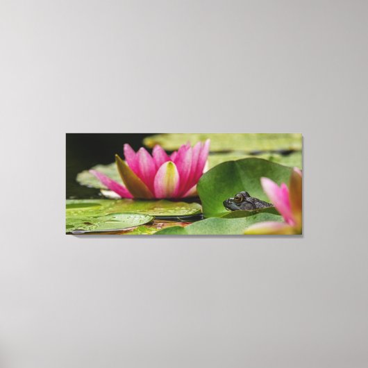 Bullfrog onder waterlilies canvas afdruk (Voorkant)