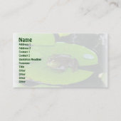 Bullfrog op het Visitekaartje Lilypads (Voorkant)