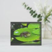 Bullfrog op Lilypads Briefkaart (Staand voorkant)