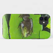 Bullfrog op Lilypads Case-Mate iPhone Case (Achterkant (horizontaal))