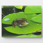 Bullfrog op Lilypads Fotoplaat (Voorkant)