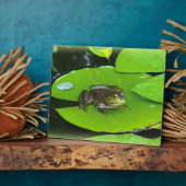 Bullfrog op Lilypads Fotoplaat (Zijkant)