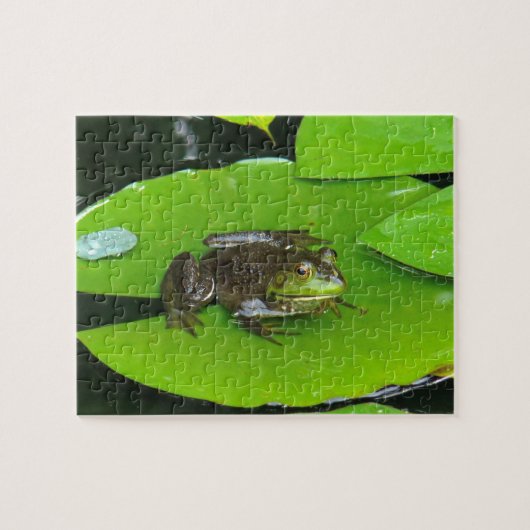 Bullfrog op Lilypads Legpuzzel (Horizontaal)