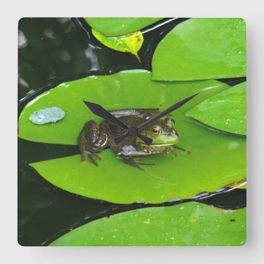 Bullfrog op Lilypads Vierkante Klok (Voorkant)
