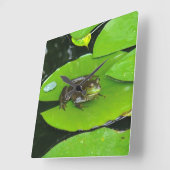 Bullfrog op Lilypads Vierkante Klok (Hoek)