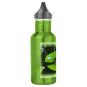 Bullfrog op Lilypads Waterfles (Links)