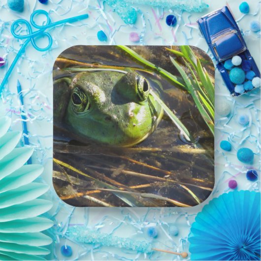Bullfrog Papieren Bordje (Feest)
