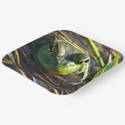 Bullfrog Papieren Bordje (Gebogen)