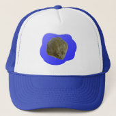 Bullfrog-Pet Trucker Pet (Voorkant)