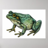 Bullfrog Poster (Voorkant)