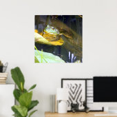 Bullfrog Poster voor zwemschoonheid (Thuiskantoor)
