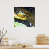 Bullfrog Poster voor zwemschoonheid (Keuken)