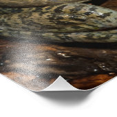 Bullfrog, Rana catesbeiana Foto Afdruk (Hoek)