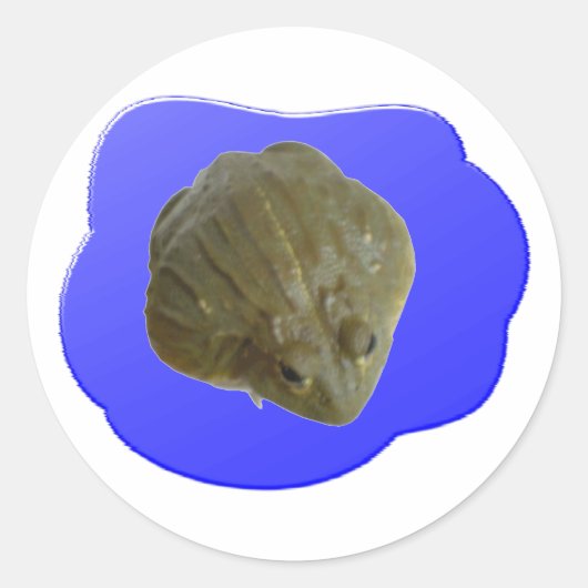 Bullfrog-Sticker Ronde Sticker (Voorkant)