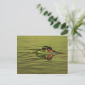 Bullfrog Swimming Briefkaart (Staand voorkant)