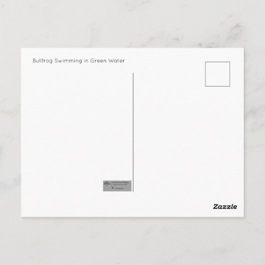 Bullfrog Swimming Briefkaart (Achterkant)